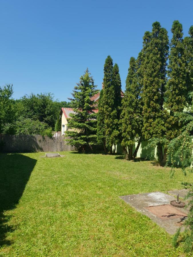 Zseki Apartman Hajdúszoboszló 外观 照片
